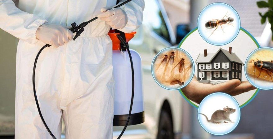 Demre Böcek İlaçlama