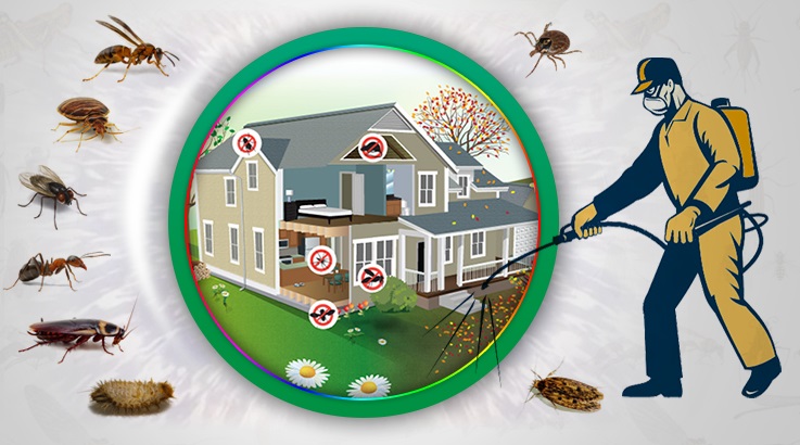 Demre Böcek İlaçlama