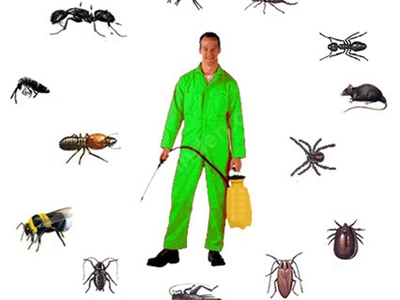 Demre Böcek İlaçlama